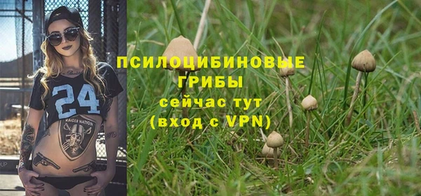 PSILOCYBIN Алексин