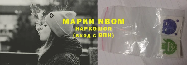 крисы Алзамай