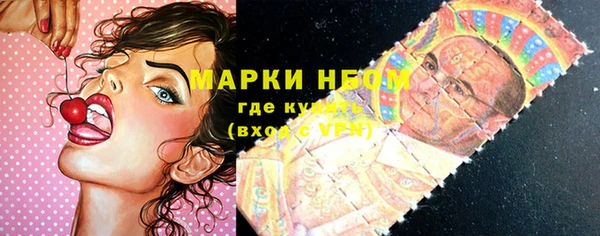 крисы Алзамай