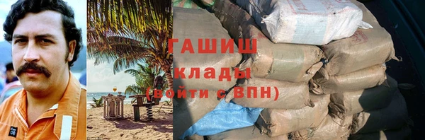 крисы Алзамай