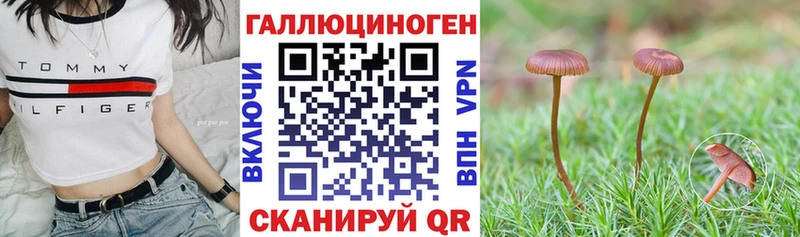 Псилоцибиновые грибы ЛСД Белгород
