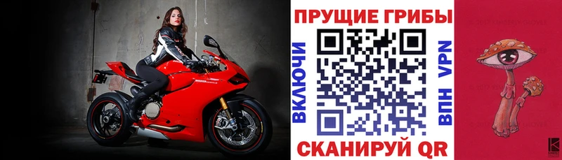 Псилоцибиновые грибы Cubensis  где купить наркоту  Белгород 